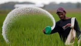 fertiliser, fertiliser industry, fertiliser sector, fertiliser subsidy, spike in global fertiliser prices, Madhya Pradesh, Rajasthan, Chhattisgarh, Telangana and Mizoram, Indian Express, India news, current affairs