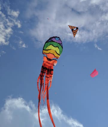 Soaring Skies and Vibrant Hues At Tamil Nadu International Kite Festival 2023